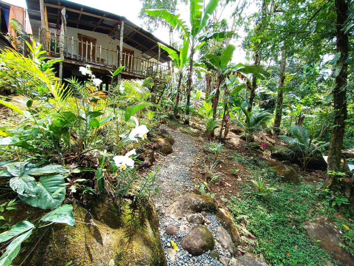 Cabana Vista Rio Celeste Экстерьер фото