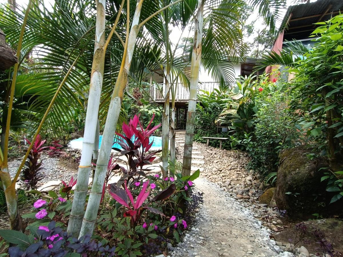 Cabana Vista Rio Celeste Экстерьер фото